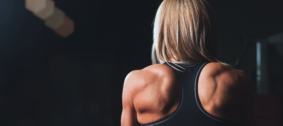 postimage Exercise training rmuscles back shoulders - Exercise Addiction