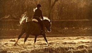 horse riding 300x175 - 3 Main Reasons Why Horse Riding is a Great Means of Recreation