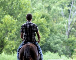 horse riding recreation leisure 300x239 - 3 Main Reasons Why Horse Riding is a Great Means of Recreation
