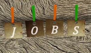 job search 300x175 - Which Hobbies Are the Best Ones for Your CV?